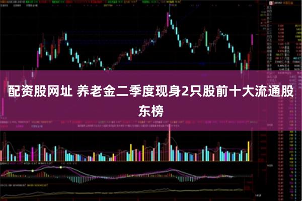 配资股网址 养老金二季度现身2只股前十大流通股东榜