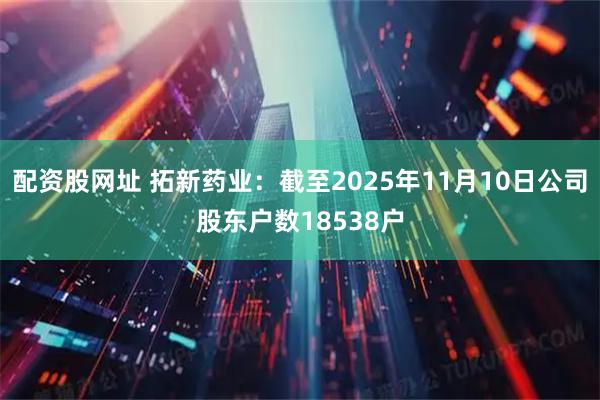 配资股网址 拓新药业：截至2025年11月10日公司股东户数18538户