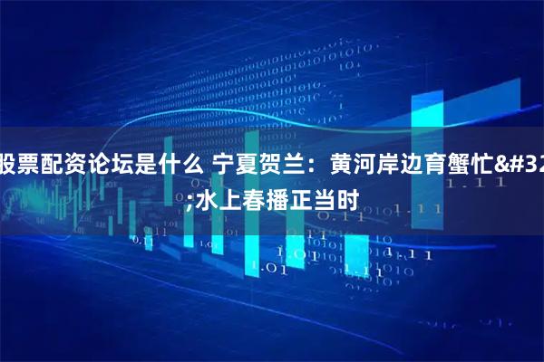 股票配资论坛是什么 宁夏贺兰:黄河岸边育蟹忙 水上春播正当时