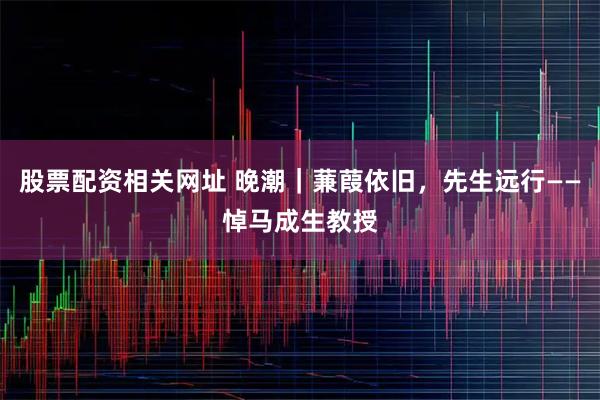 股票配资相关网址 晚潮｜蒹葭依旧，先生远行——悼马成生教授